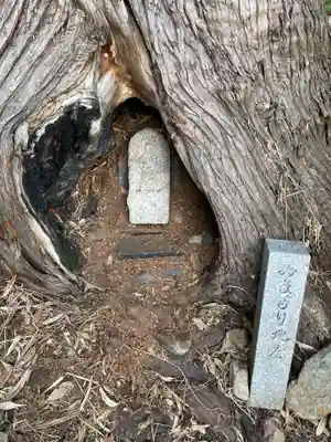 神変大菩薩(役行者)(京都府)