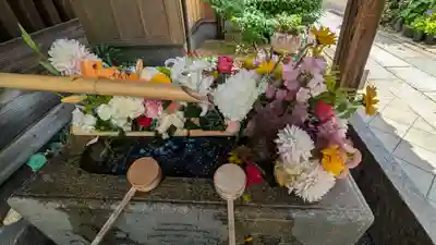 勝林寺(京都府)