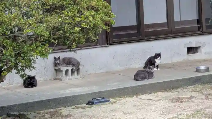 長源寺の動物