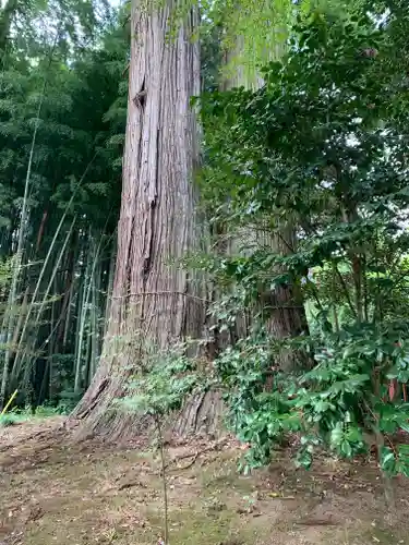 羽梨山神社(茨城県)