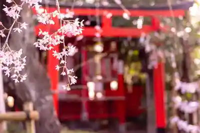 水火天満宮(京都府)