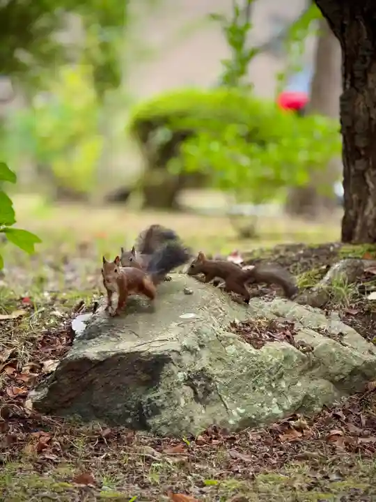 伊達神社(北海道)