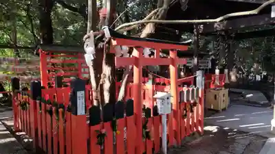 賀茂御祖神社（下鴨神社）(京都府)