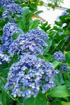 性海寺(愛知県)