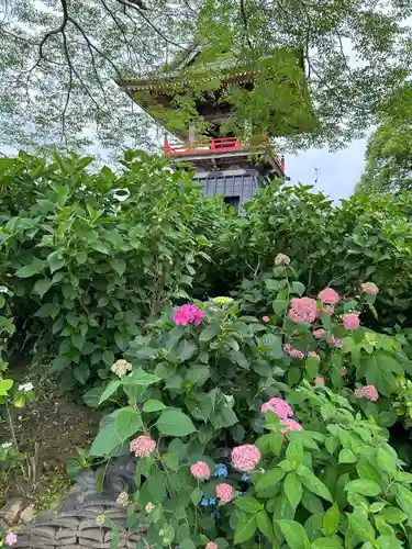 能護寺(埼玉県)