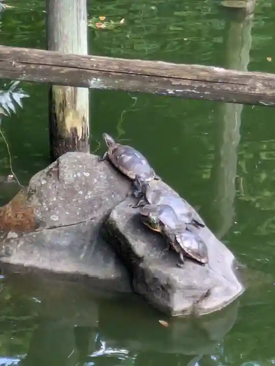 亀戸天神社(東京都)