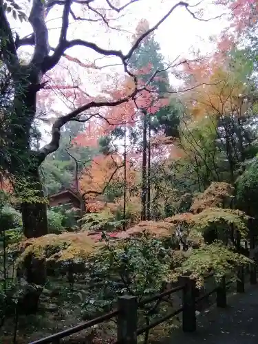 五所駒瀧神社の庭園