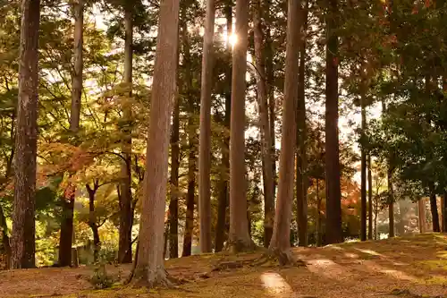 神護寺(京都府)