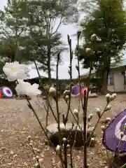 彌都加伎神社の自然