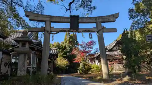 新熊野神社(京都府)
