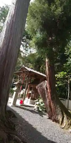 住吉大伴神社(京都府)