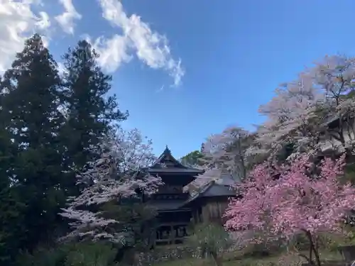 龍澤寺の本殿