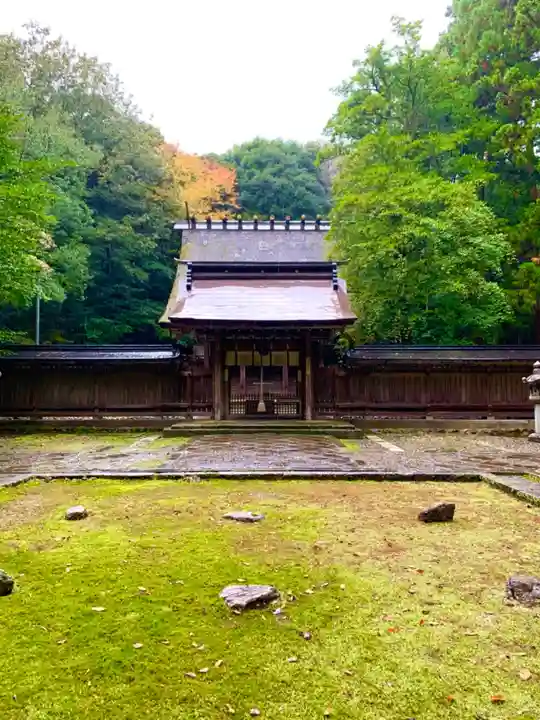 若狭彦神社(上社)の本殿・本堂