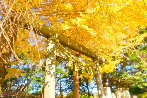 葛原岡神社(神奈川県)