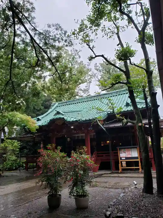 赤坂氷川神社の本殿・本堂