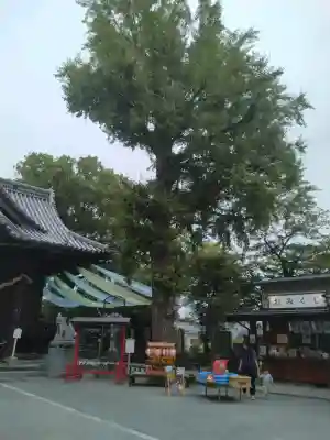 福島八幡宮(福岡県)