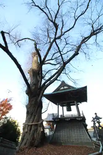 北向観音(長野県)