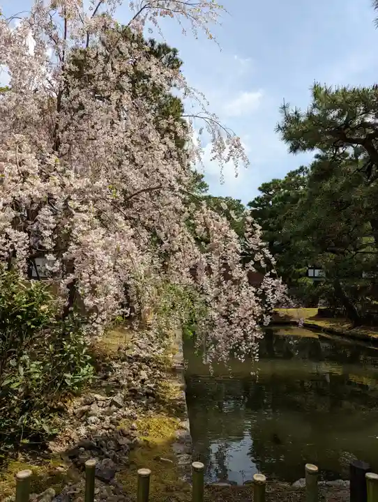 建仁寺(建仁禅寺)(京都府)