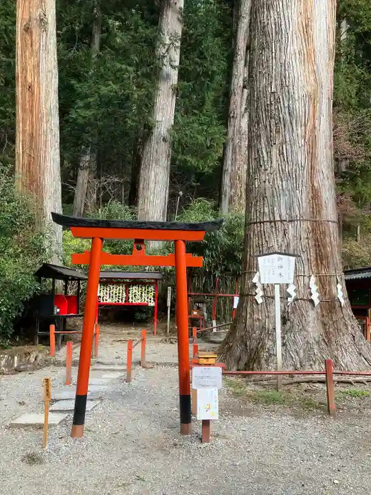日光二荒山神社(栃木県)