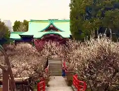 亀戸天神社(東京都)