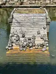 四天王寺の庭園