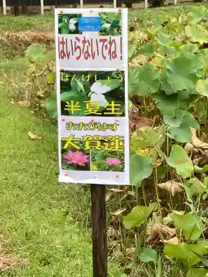 結縁寺(千葉県)