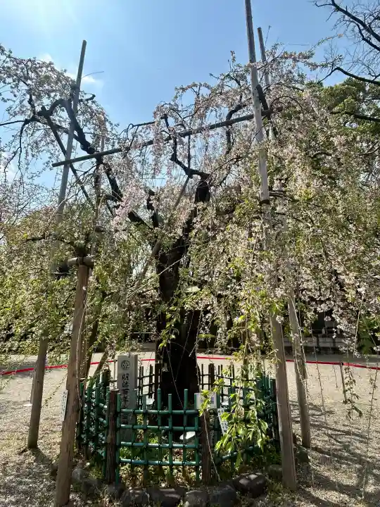 大國魂神社(東京都)