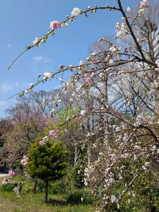 天徳寺(神奈川県)