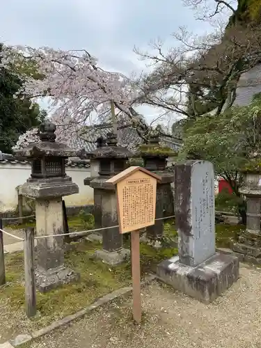春日大社(奈良県)
