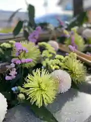 豊景神社の手水