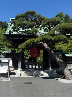 長谷寺の{uncategorized: "未分類", other: "その他", undefined: "問題あり", building: "その他建物", grave: "お墓", sacred_gate: "鳥居", guardian: "狛犬", statue: "像", buddha: "仏像", history: "歴史", nature: "自然", garden: "庭園", animal: "動物", pagoda: "塔", temizu: "手水舎", mountain_gate: "山門・神門", sanctuary: "本殿・本堂", subordinate: "末社・摂社", art: "芸術", scenery: "景色", jizo: "地蔵", ema: "絵馬", goshuin: "御朱印", omikuji: "おみくじ", items: "授与品その他", amulet: "お守り", goshuincho: "御朱印帳", eats: "食事", festival: "お祭り", votive_dance: "神楽", shichigosan: "七五三参", wedding: "結婚式", experience: "体験その他", initially: "初詣", around: "周辺", anti_infection: "感染症対策"}
