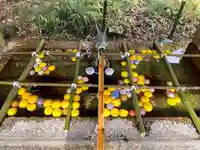 今市瀧尾神社の手水舎