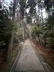 龍王神社(奈良県)