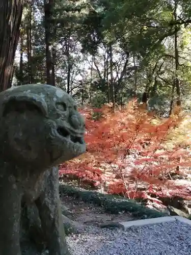 間々田八幡宮の狛犬