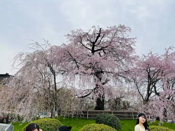 八坂神社(祇園さん)の庭園