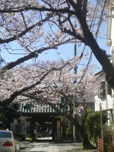 妙隆寺の景色