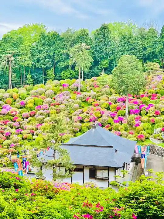 塩船観音寺(東京都)
