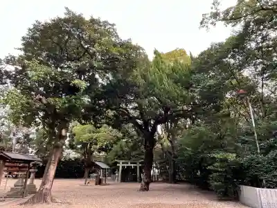 野々宮神社(大阪府)