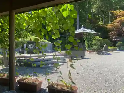 崇禅寺(群馬県)