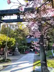 榛名神社(群馬県)