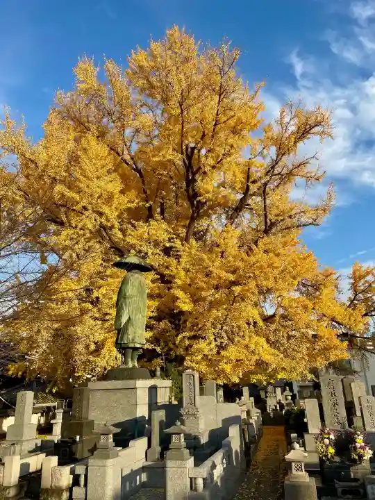 善福寺(東京都)