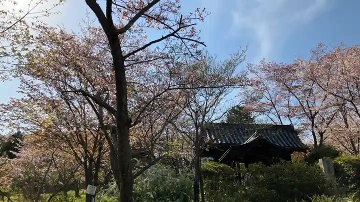 吉備津岡辛木神社(岡山県)