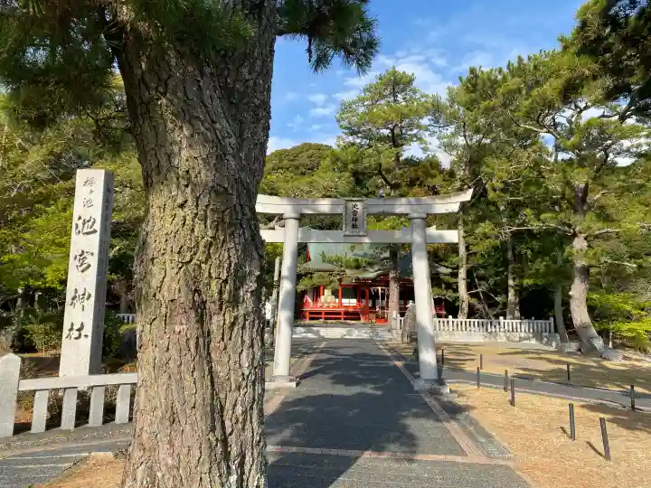 桜ヶ池池宮神社の{uncategorized: "未分類", other: "その他", undefined: "問題あり", building: "その他建物", grave: "お墓", sacred_gate: "鳥居", guardian: "狛犬", statue: "像", buddha: "仏像", history: "歴史", nature: "自然", garden: "庭園", animal: "動物", pagoda: "塔", temizu: "手水舎", mountain_gate: "山門・神門", sanctuary: "本殿・本堂", subordinate: "末社・摂社", art: "芸術", scenery: "景色", jizo: "地蔵", ema: "絵馬", goshuin: "御朱印", omikuji: "おみくじ", items: "授与品その他", amulet: "お守り", goshuincho: "御朱印帳", eats: "食事", festival: "お祭り", votive_dance: "神楽", shichigosan: "七五三参", wedding: "結婚式", experience: "体験その他", initially: "初詣", around: "周辺", anti_infection: "感染症対策"}