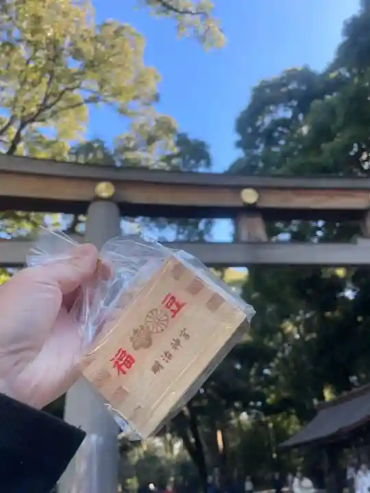 明治神宮(東京都)