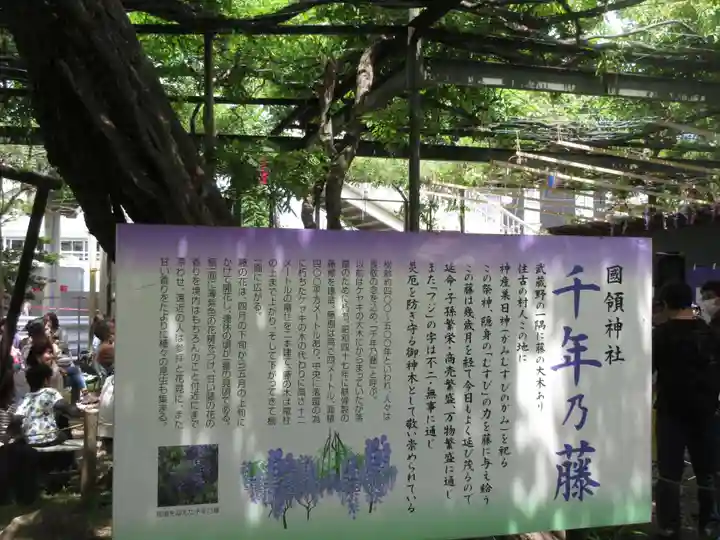 國領神社(東京都)