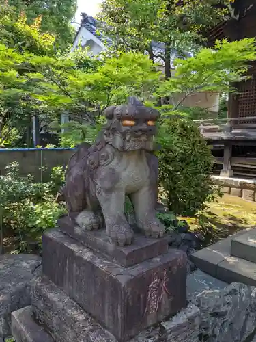 白山神社の狛犬