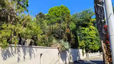 柏諏訪神社の周辺