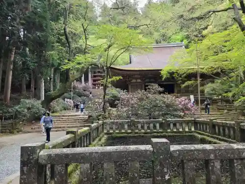 室生寺の御朱印