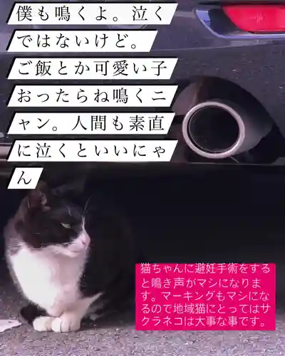 専念寺(大阪府)