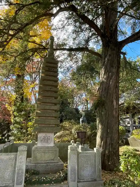 安養院(東京都)